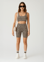 CONJUNTO_36159701_ARENA_1